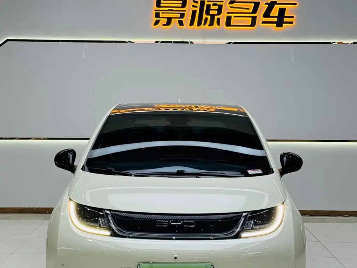 BYD DOLPHIN