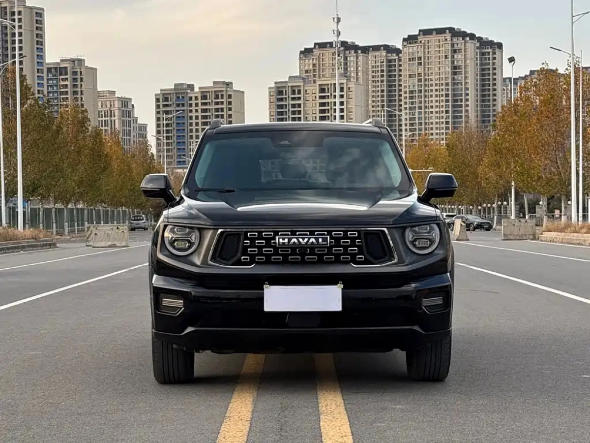 HAVAL BIG DOG II