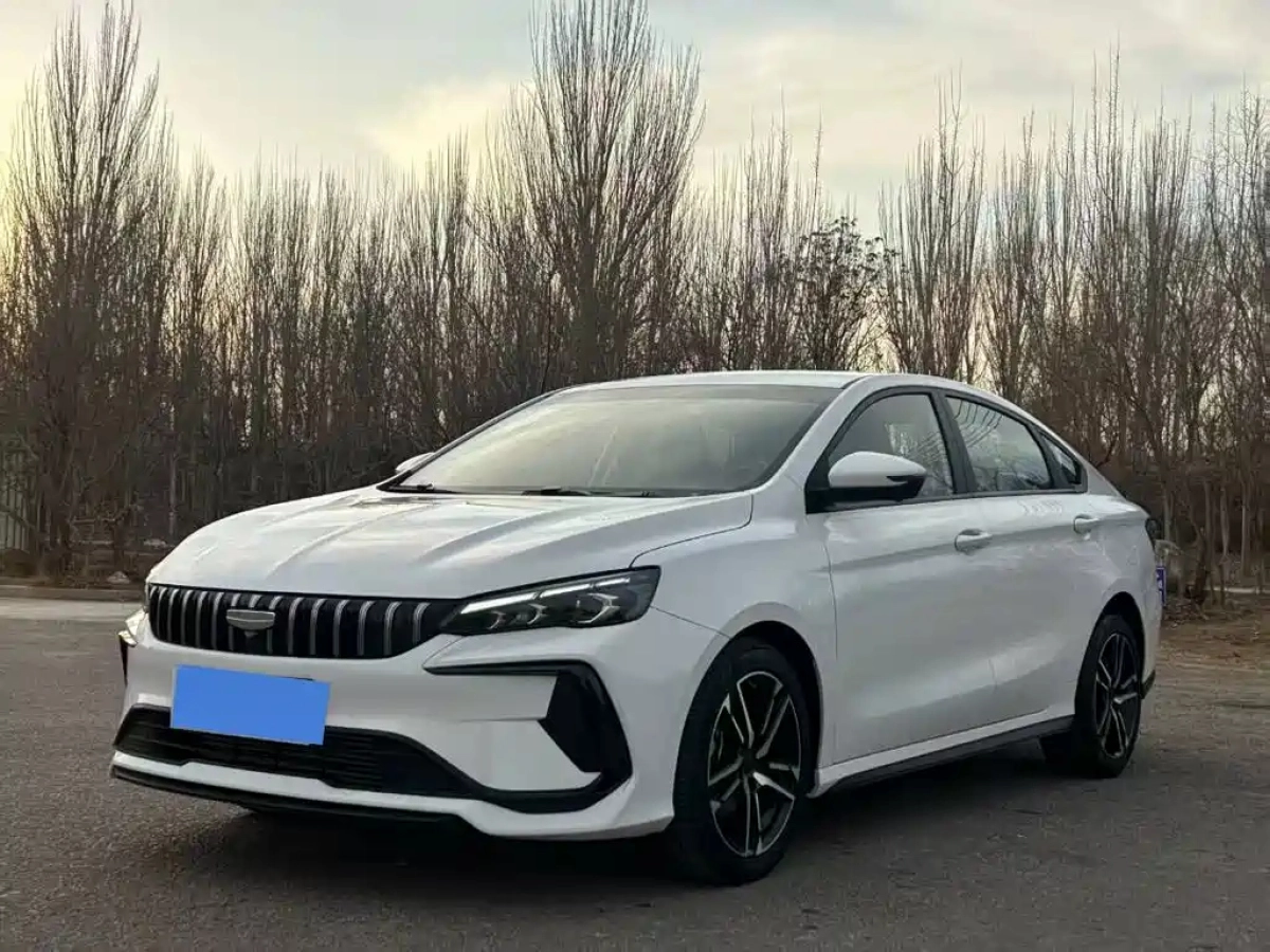 GEELY AUTO BINRUI