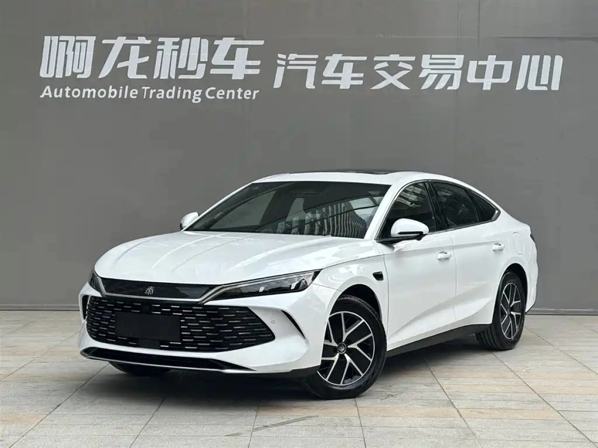 BYD QIN L  2026