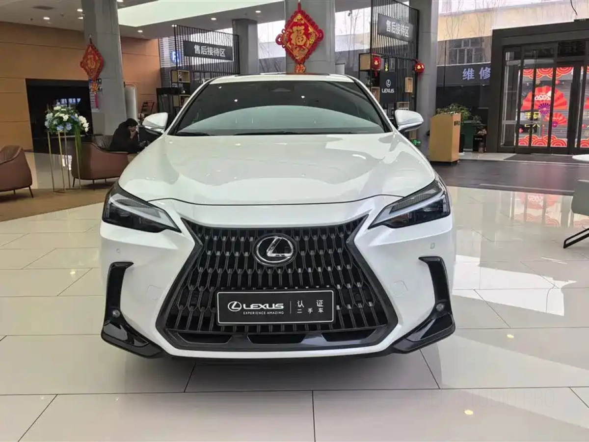 LEXUS NX NEW ENERGY