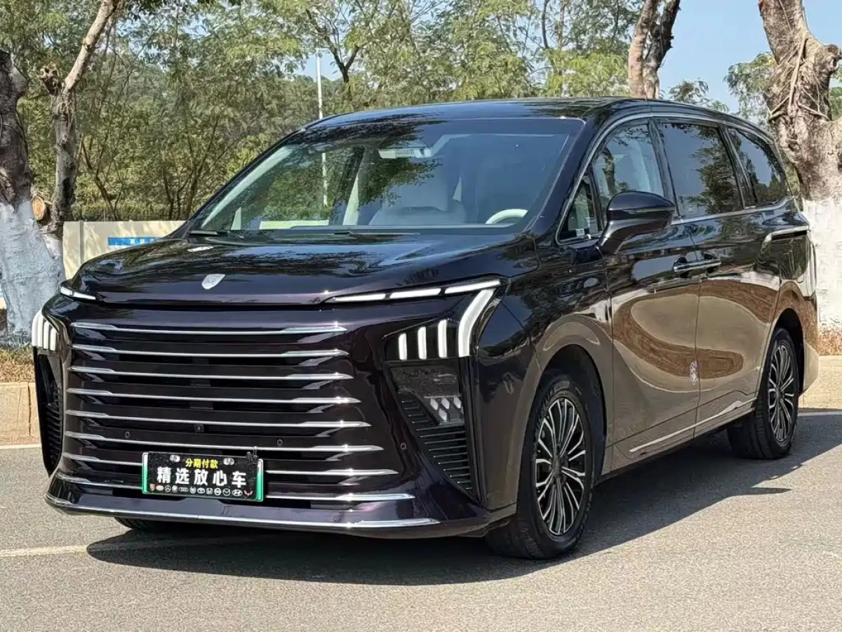 DONGFENG 星海V9  2025