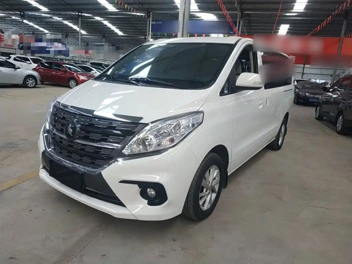 DONGFENG OTHER  2024