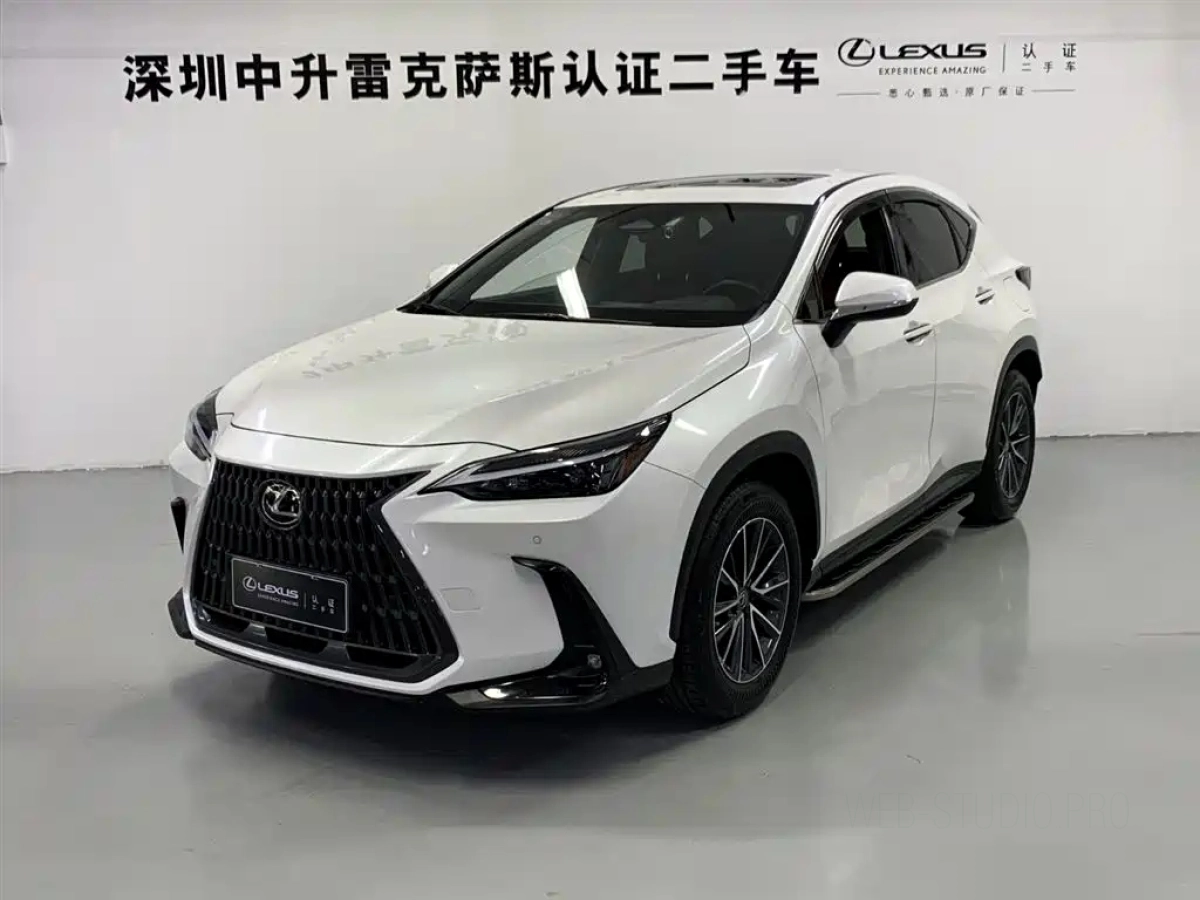 LEXUS NX NEW ENERGY  2022