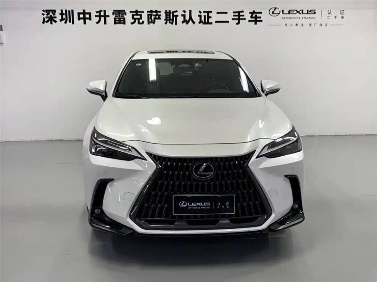 LEXUS NX NEW ENERGY