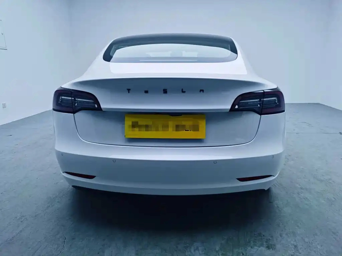 TESLA MODEL 3 IMPORT