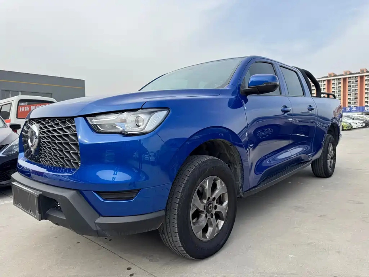 GREAT WALL POER  2022