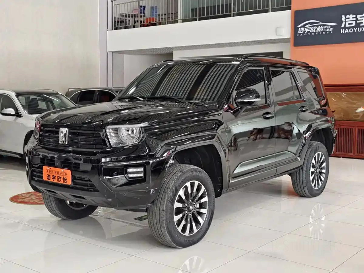 TANK 700 NEW ENERGY  2025