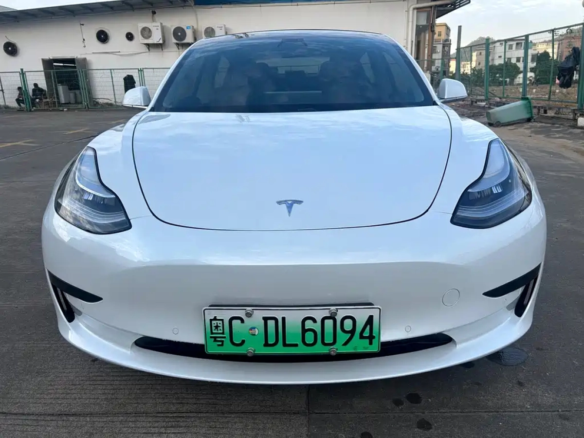 TESLA MODEL 3 IMPORT