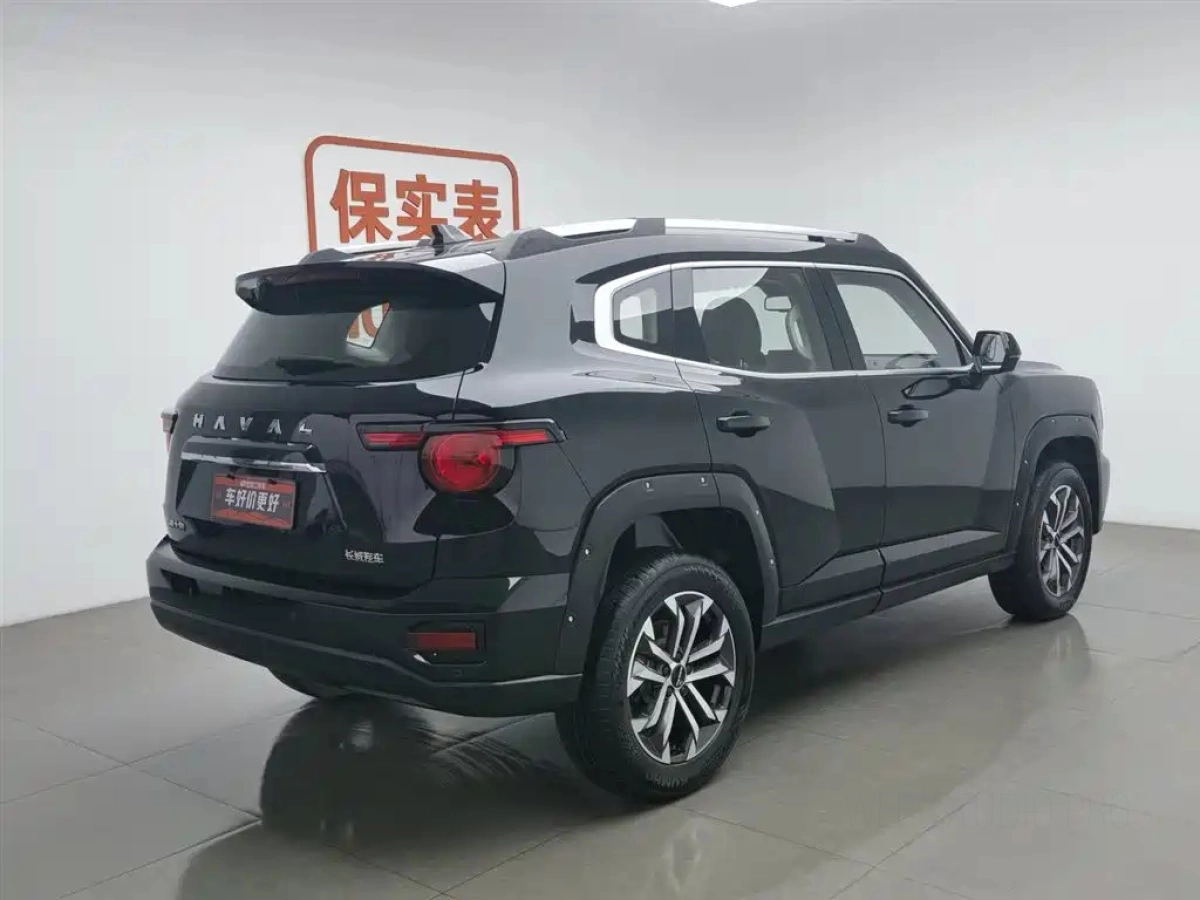 HAVAL BIG DOG II