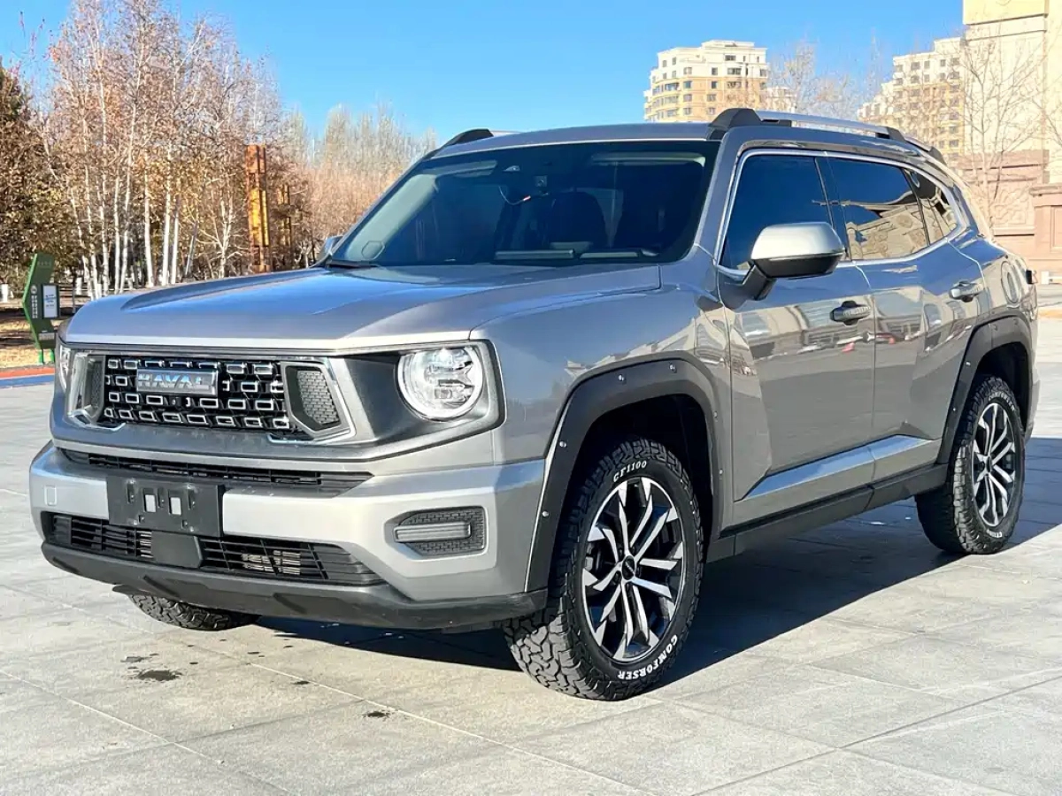 HAVAL BIG DOG II  2024