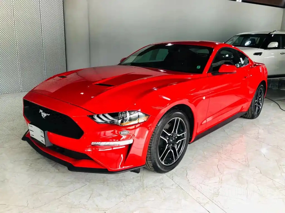 FORD MUSTANG  2019