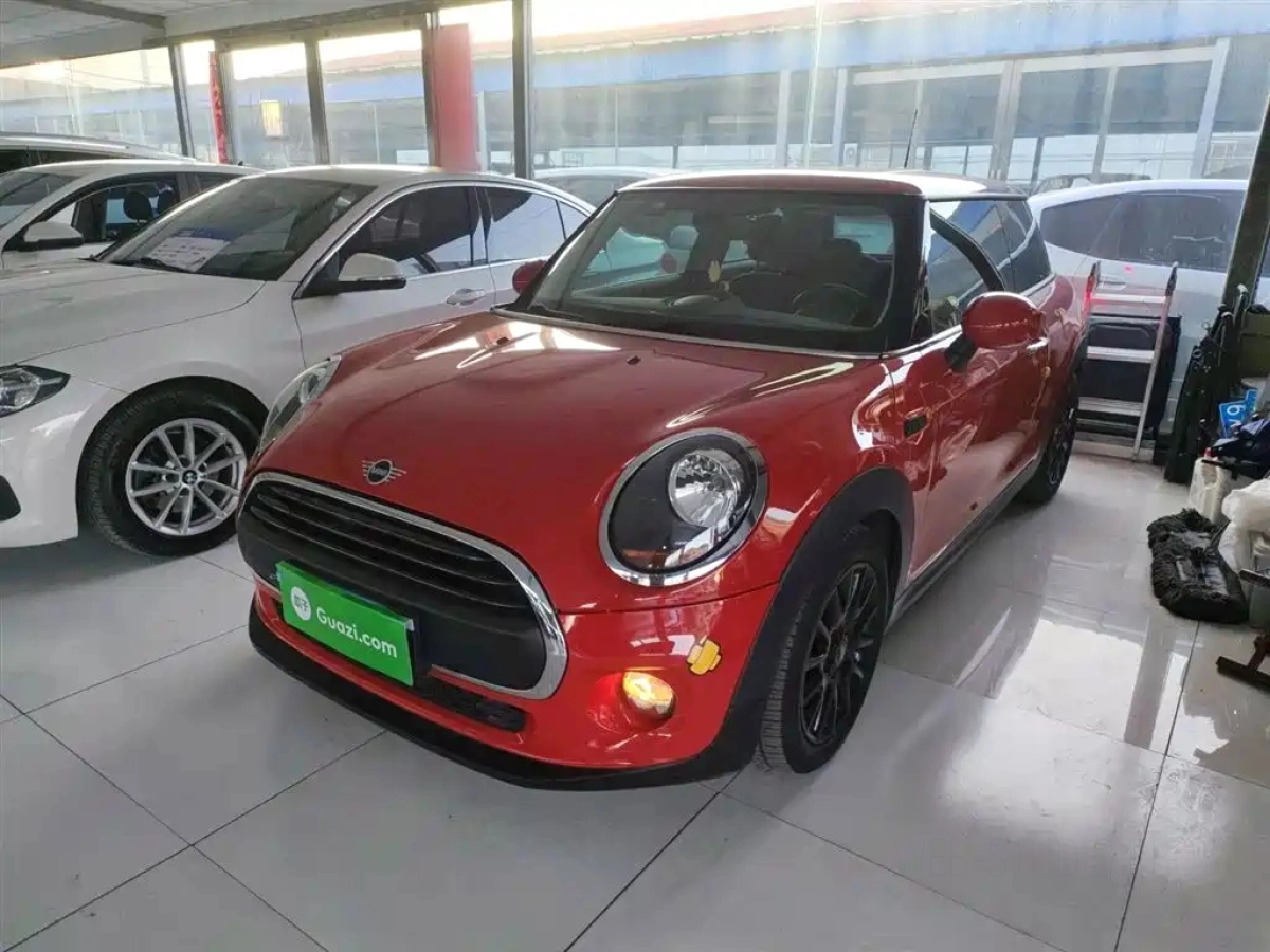 MINI OTHER  2019