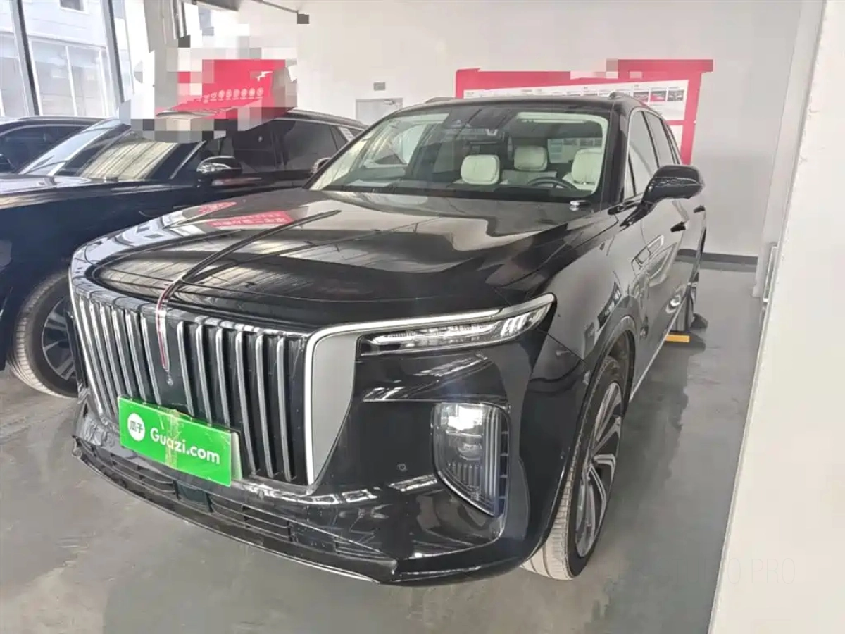 HONGQI E-HS9