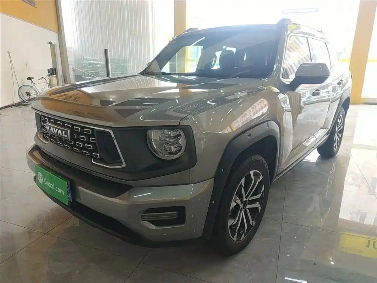 HAVAL BIG DOG II  2024