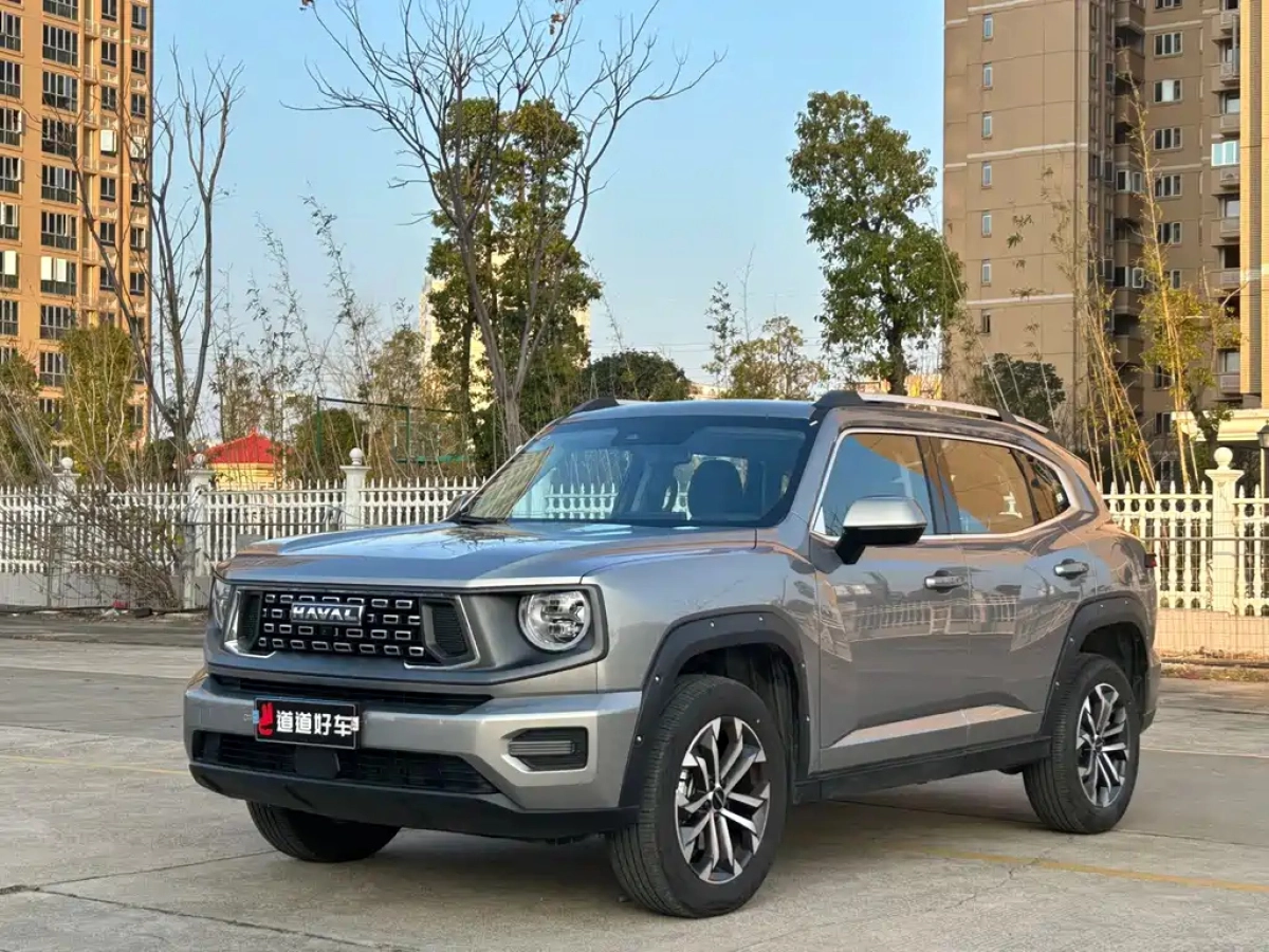 HAVAL BIG DOG II  2025