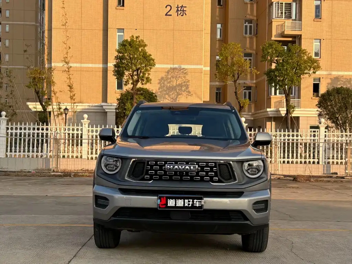 HAVAL BIG DOG II