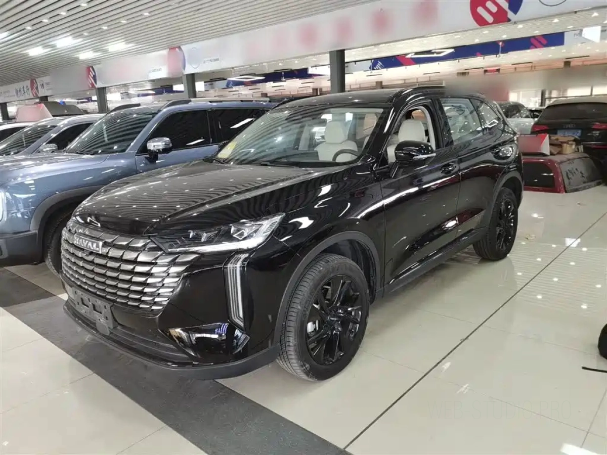 HAVAL H6  2024