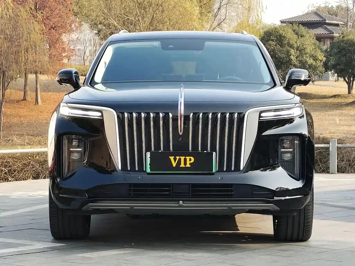 HONGQI E-HS9