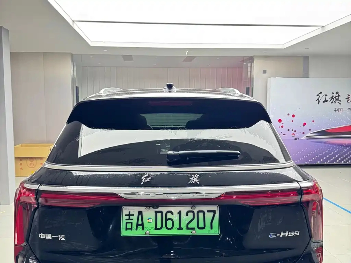 HONGQI E-HS9