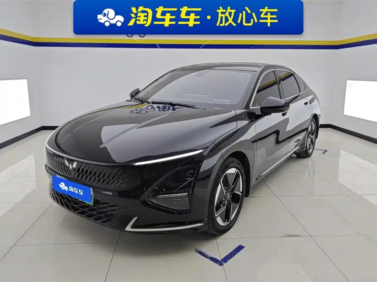 WULING XINGGUANG  2024