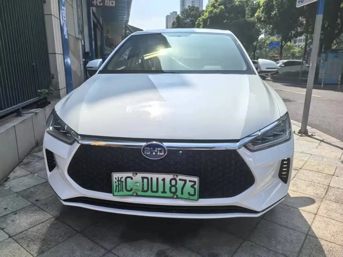 BYD E2
