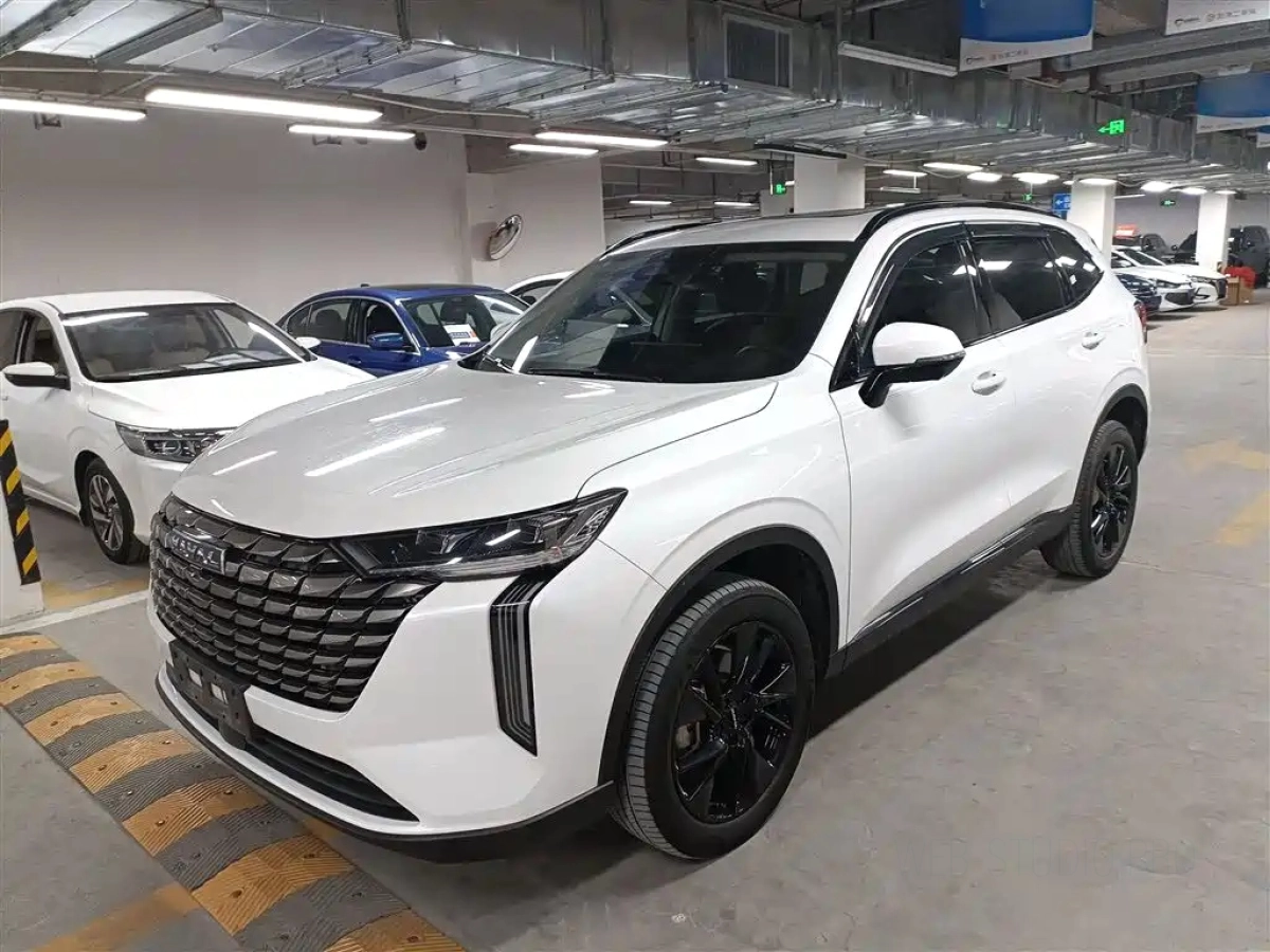 HAVAL H6  2024