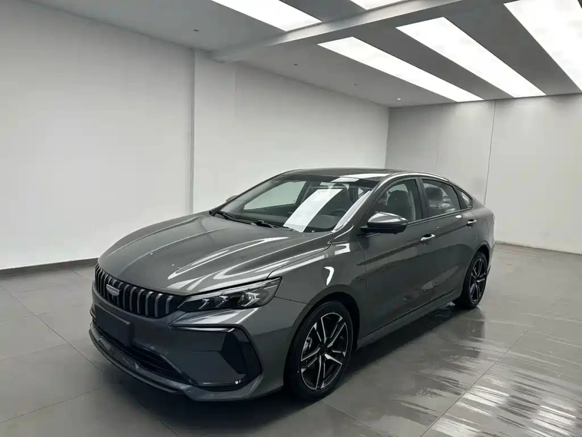 GEELY AUTO BINRUI  2025