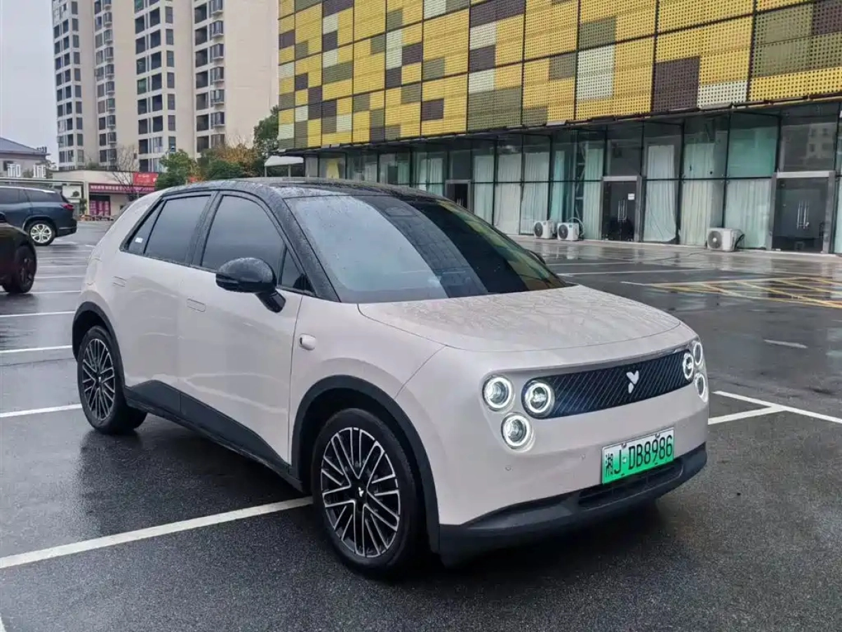GEELY GEOMETR E FIREFLY