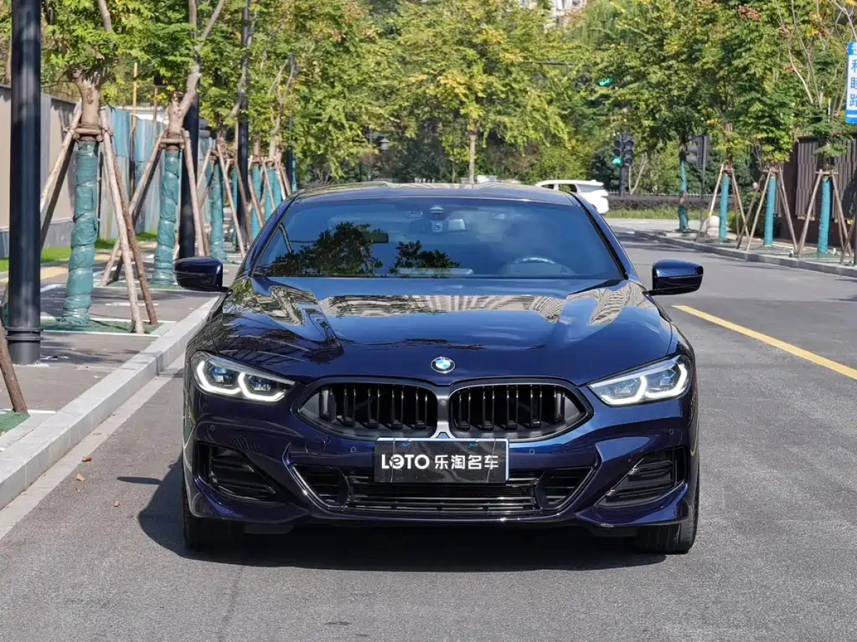 BMW 8-SERIES