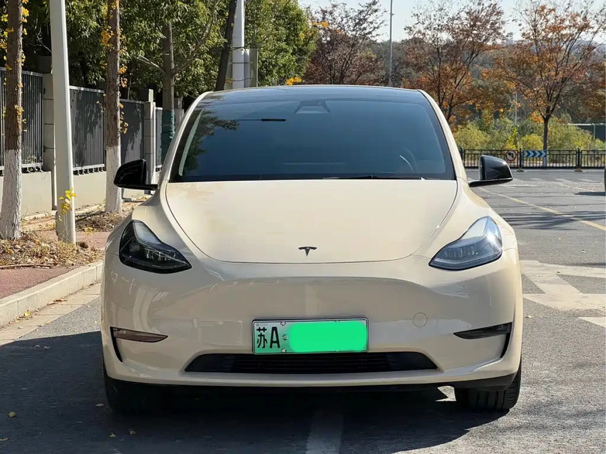 TESLA MODEL Y  2021