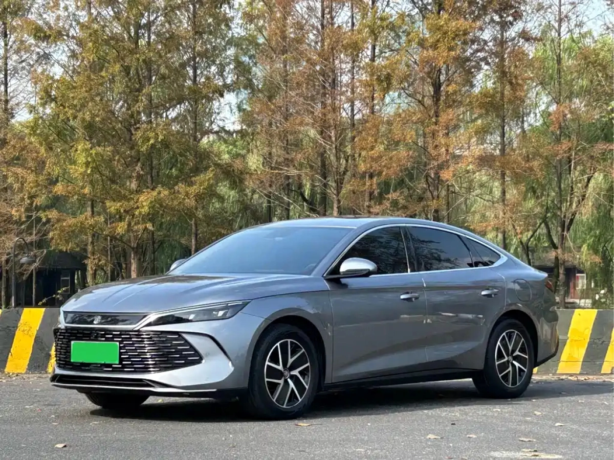 BYD QIN L  2025