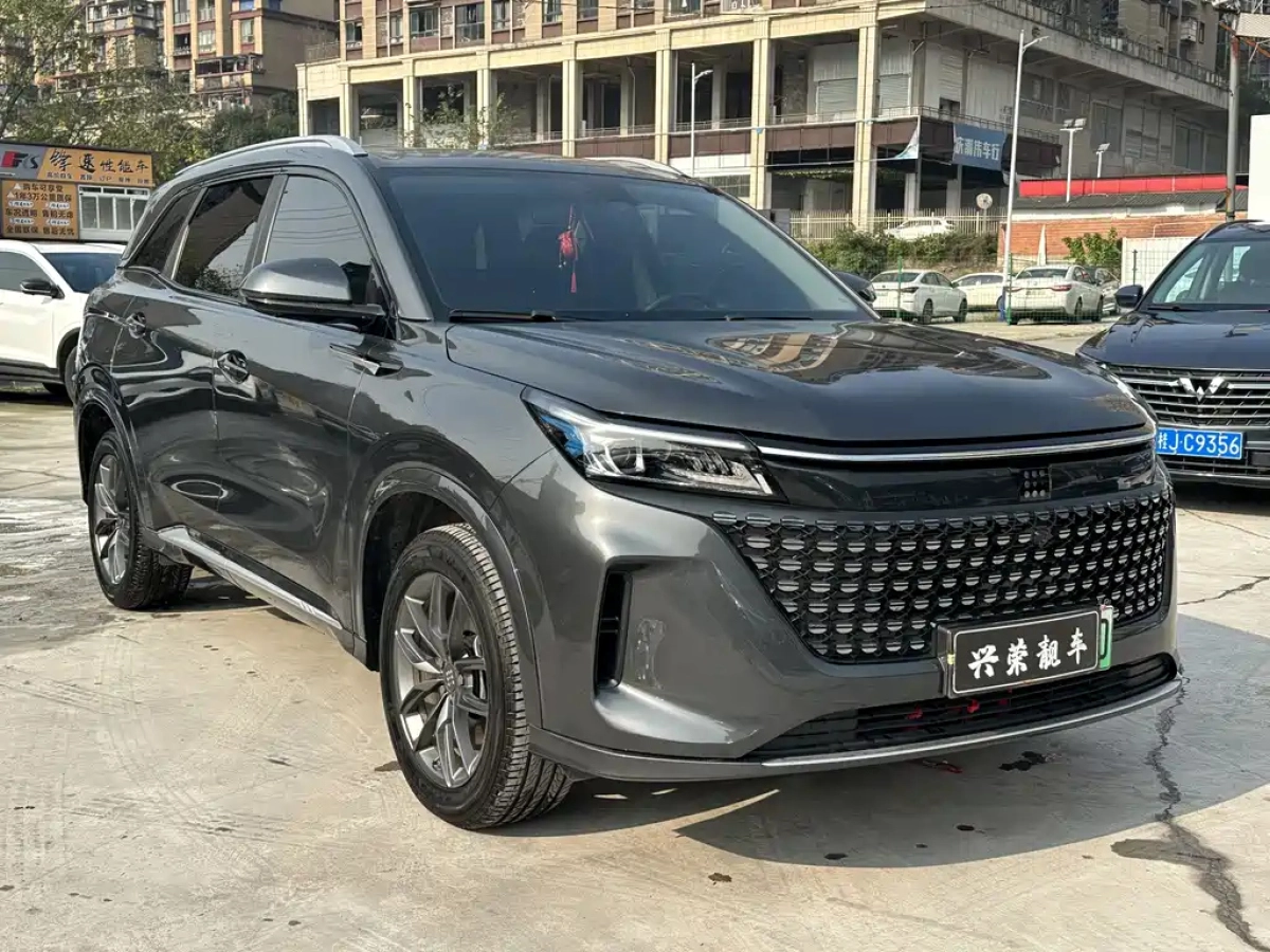 DONGFENG LAND E5  2024