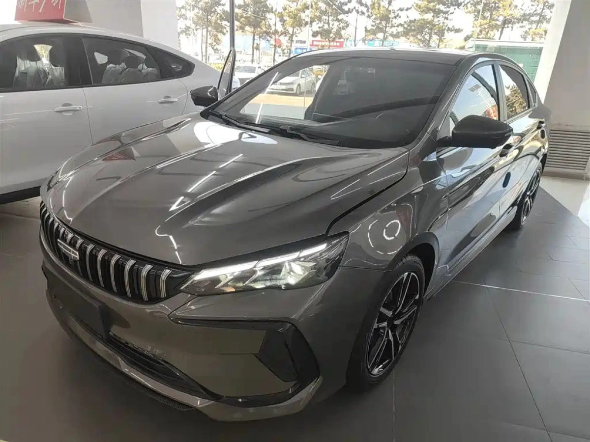 GEELY AUTO BINRUI  2025