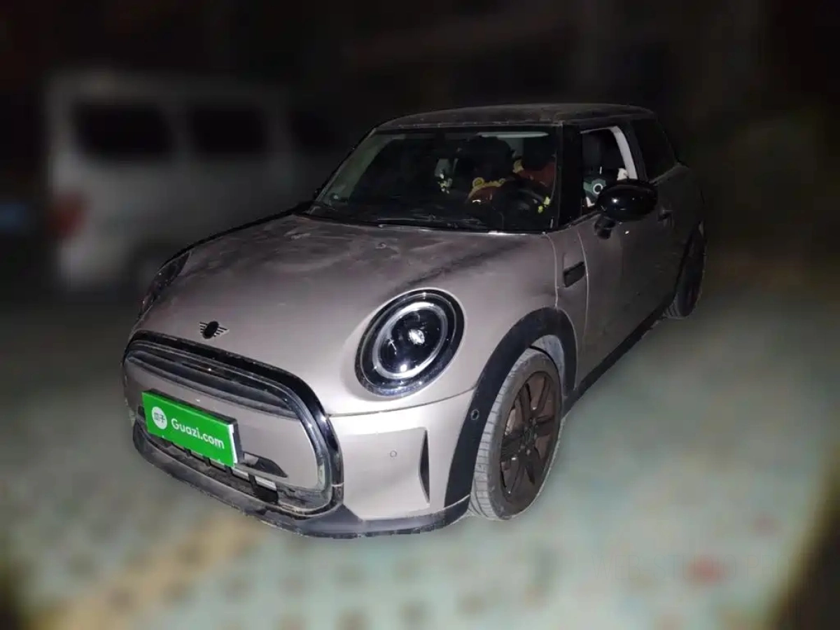 MINI OTHER