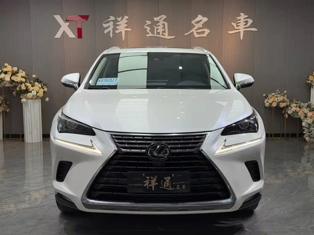 LEXUS NX