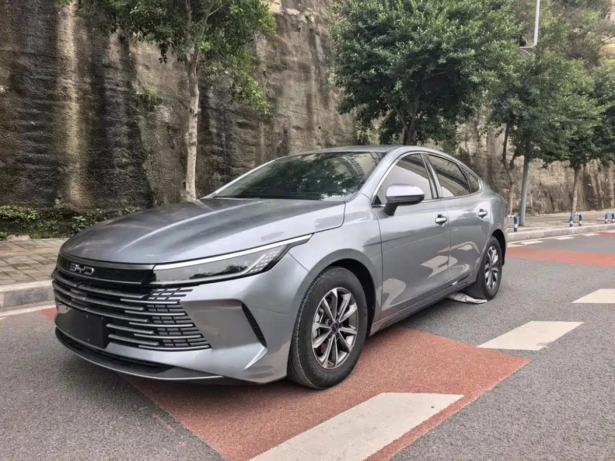 BYD DESTROYER 05  2024