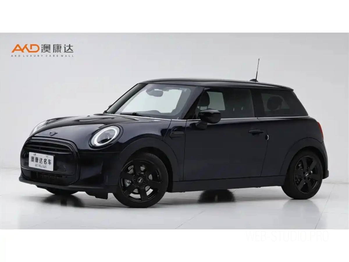 MINI OTHER