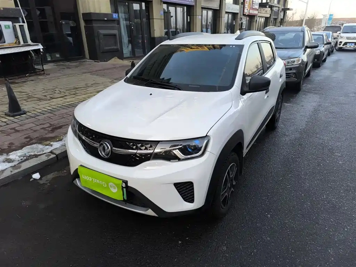 OTHER DONGFENG NAMMI EX1  2022