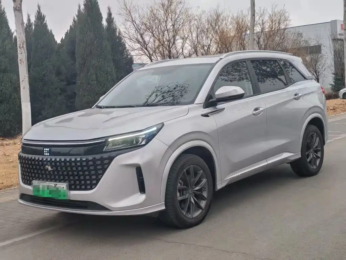 DONGFENG LAND E5  2024