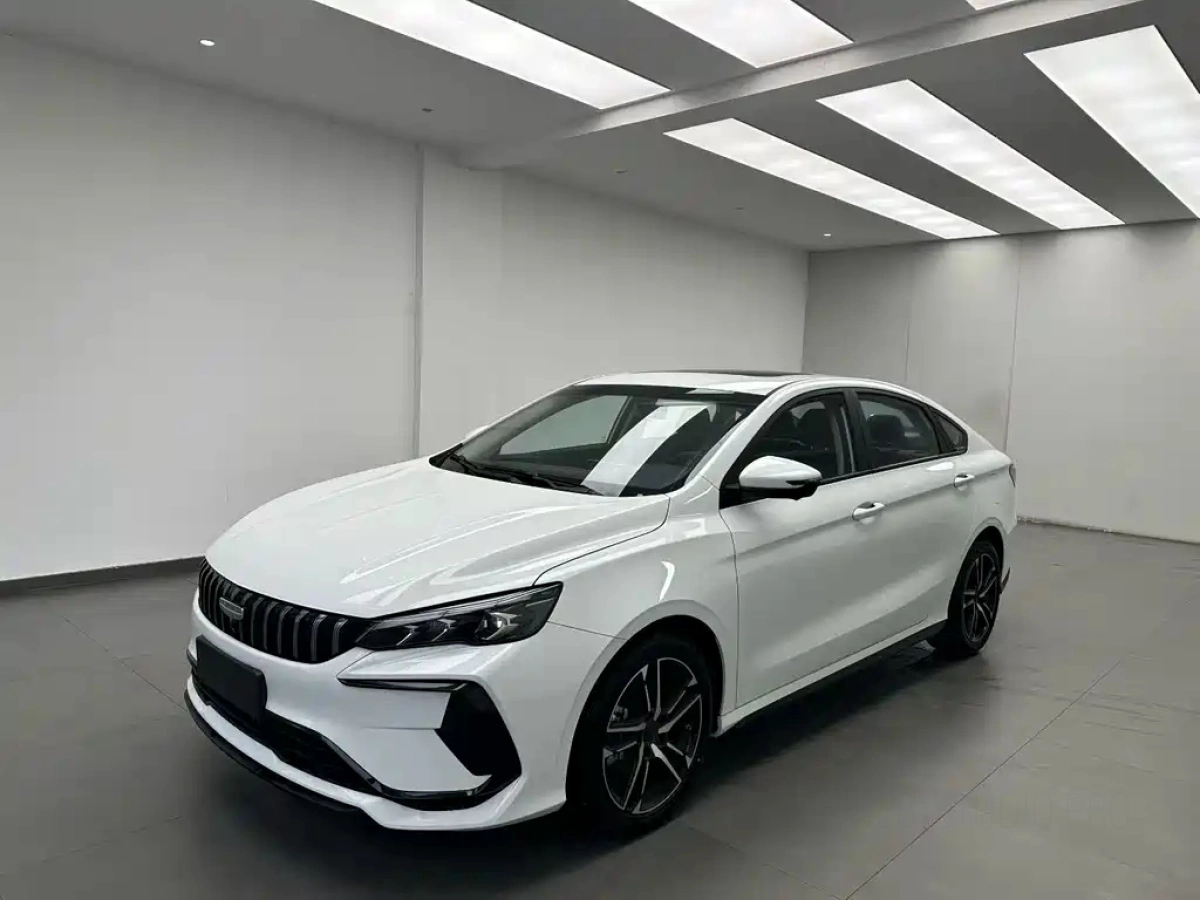 GEELY AUTO BINRUI  2025