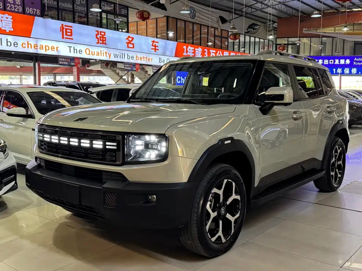 JETOUR SHANHAI T1  2024