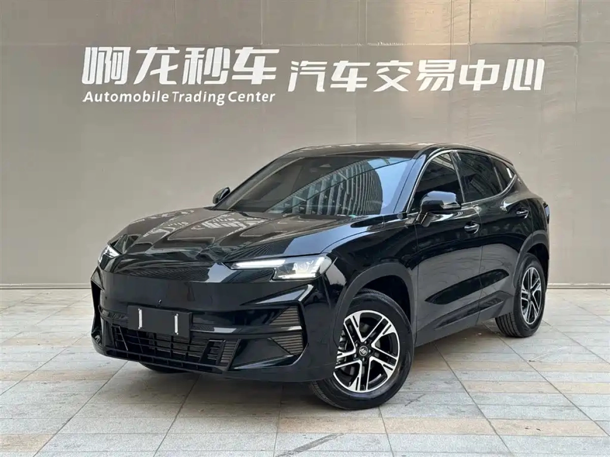 JETOUR SHANHAI L6  2024