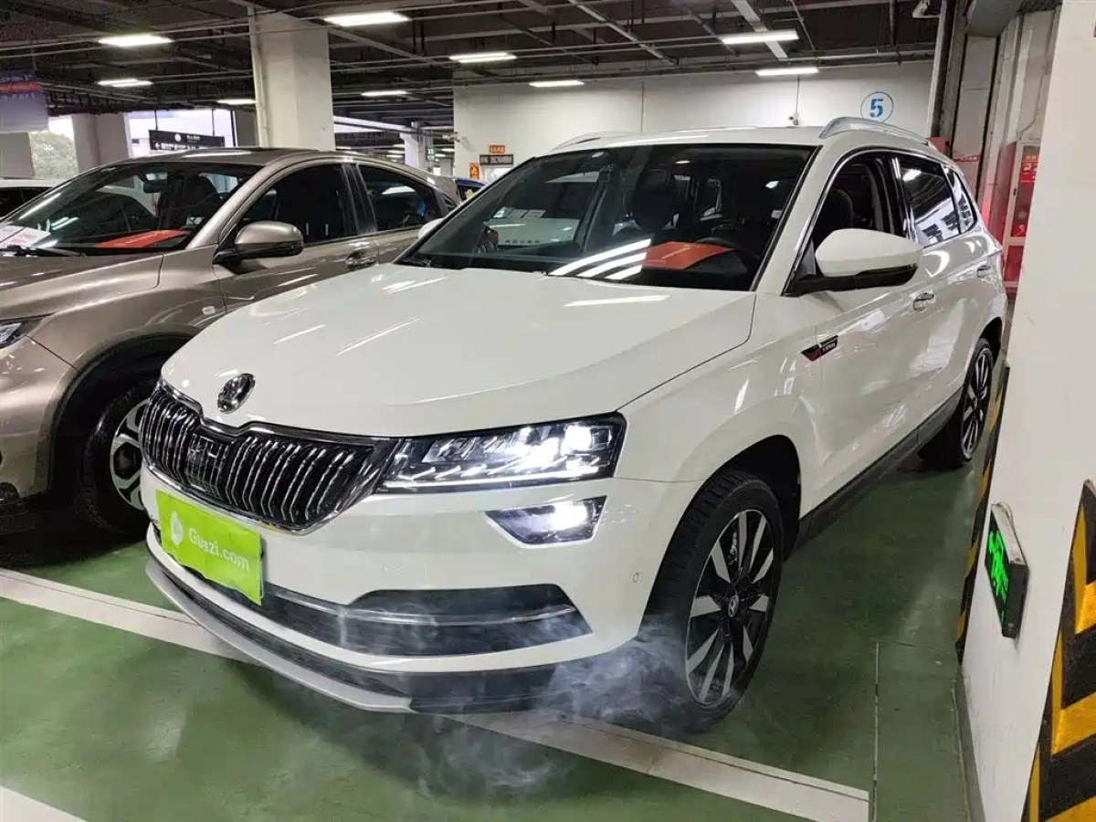 SKODA KAROQ  2019