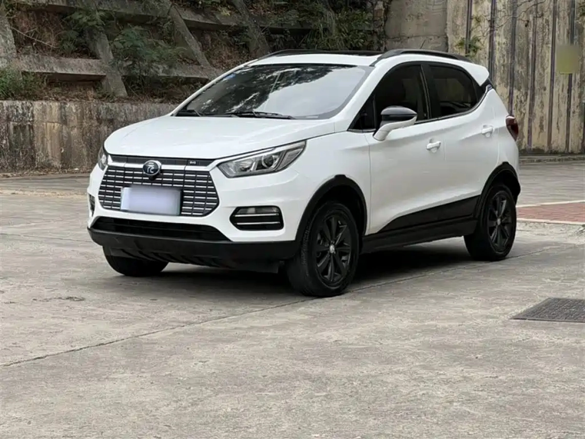 BYD YUAN NEW ENERGY