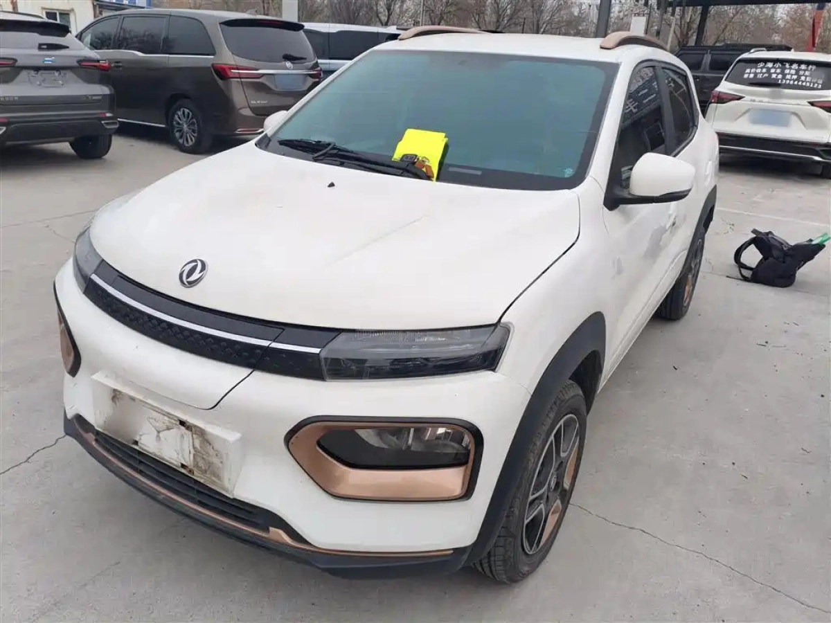 OTHER DONGFENG NAMMI EX1