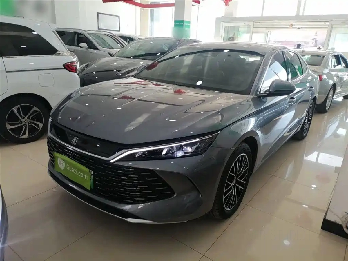 BYD QIN L