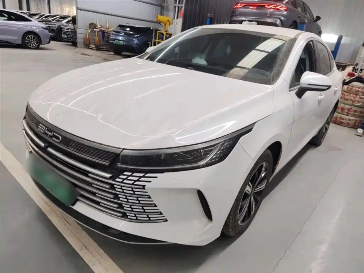 BYD DESTROYER 05  2024