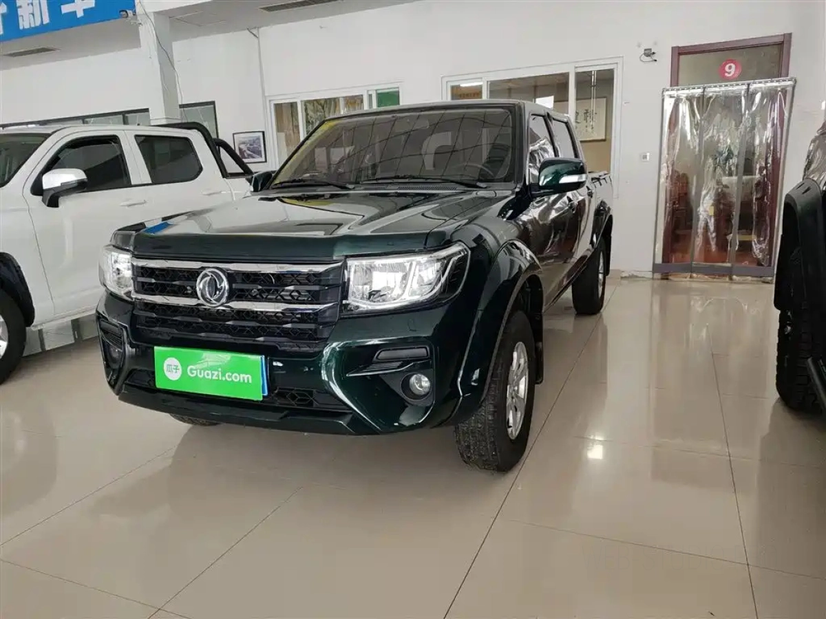 DONGFENG RICH  2024