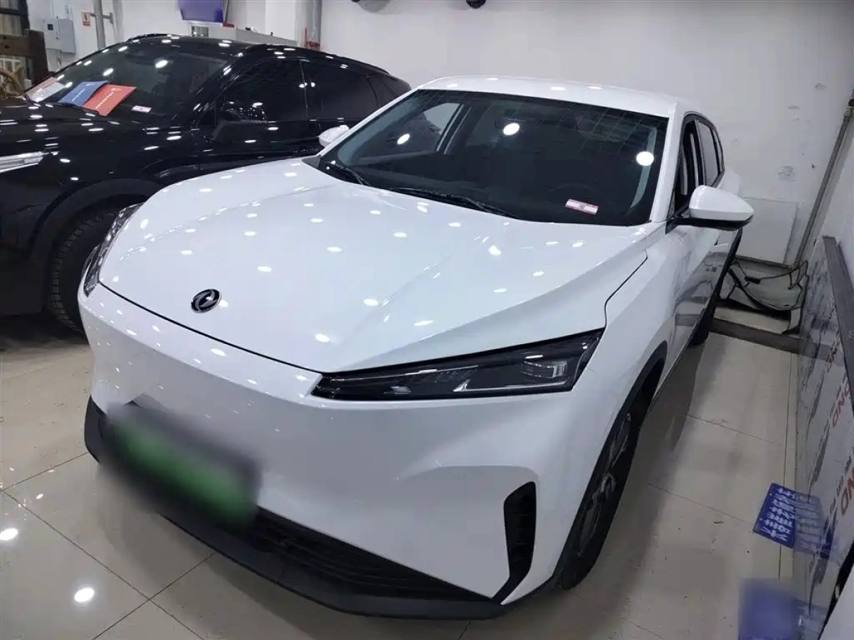 DONGFENG SKY EV01  2025